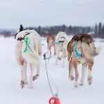 Hotel Ivalo 4* Ivalo