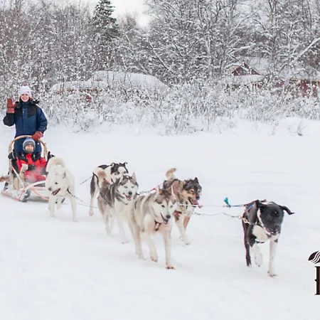 Hotel Hotel Ivalo Ivalo