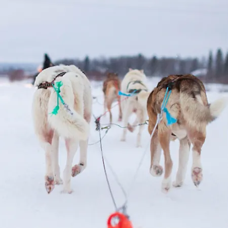 Hotel Ivalo 4* Ivalo