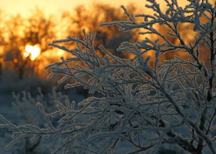 Szálloda Hotel Ivalo 4*