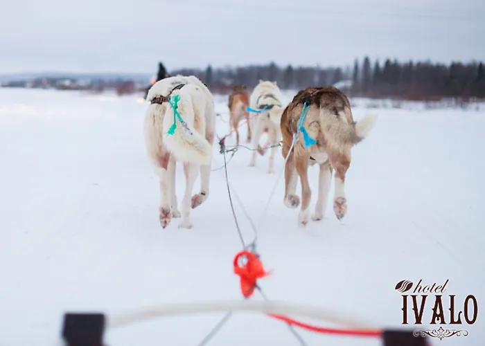 Szálloda Hotel Ivalo