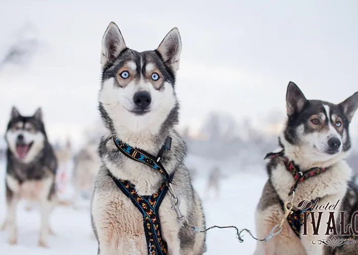 Hotel Ivalo Szálloda