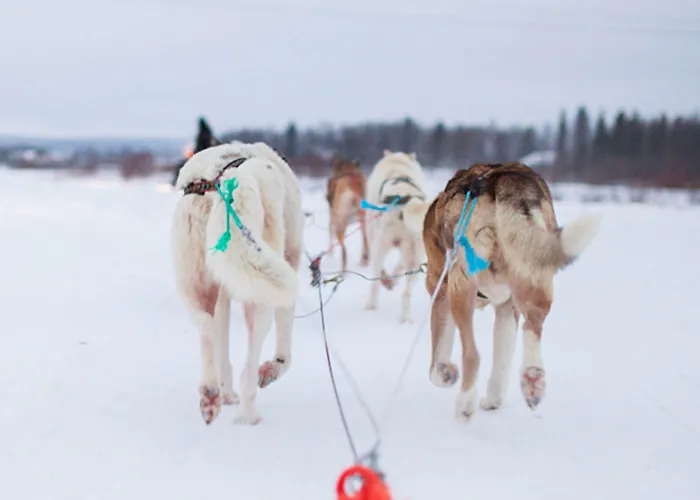 Hotel Ivalo 4* Ivalo